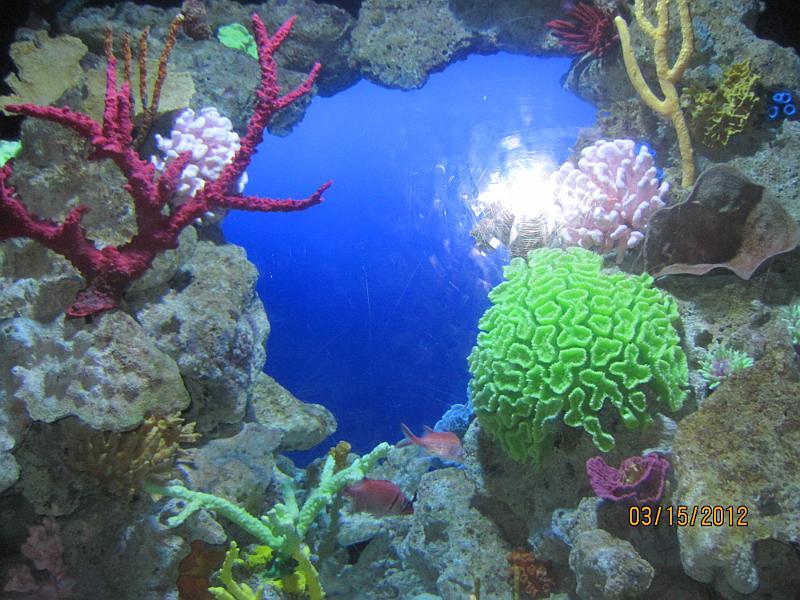 Picture 037